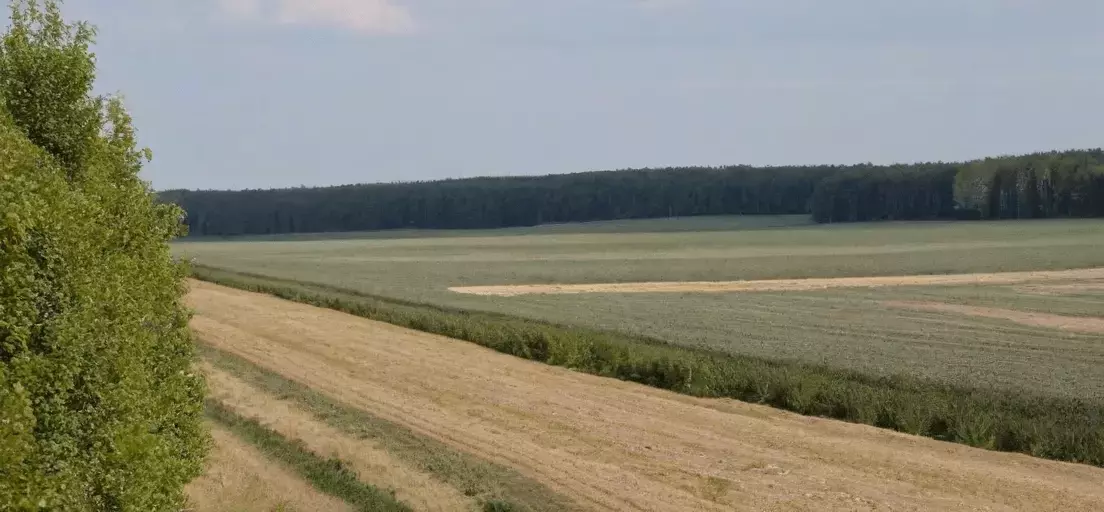 R-контент: что это такое и как применять в smm продвижении