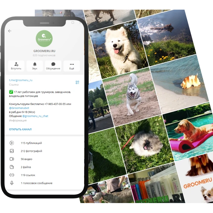 Продвижение Telegram GROOMERU.RU | зоотовары для ухода за животными