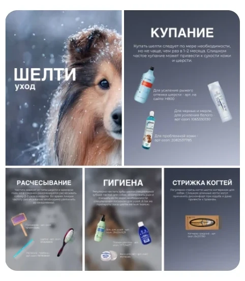 Публикации: Продвижение ВКонтакте GROOMERU.RU | зоотовары для ухода за животными. Публикация 2